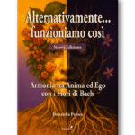 Alternativamente... funzioniamo così 2