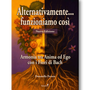 Alternativamente... funzioniamo così 2